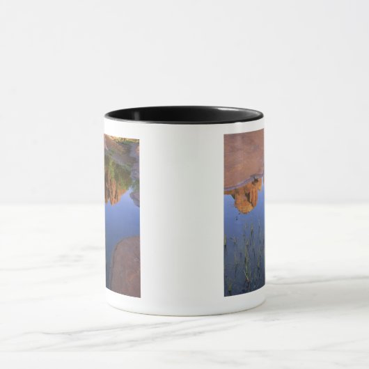 Reflection of Cathedral Rock , Sedona , Arizona Mok (Midden)