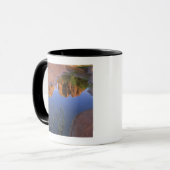 Reflection of Cathedral Rock , Sedona , Arizona Mok (Voorkant links)