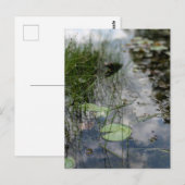 Reflections at the Water's Edge  Briefkaart (Voorkant / Achterkant)