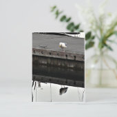reflective Seagull Briefkaart (Staand voorkant)