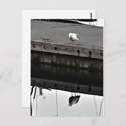 reflective Seagull Briefkaart (Voorkant / Achterkant)