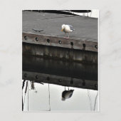 reflective Seagull Briefkaart (Voorkant)