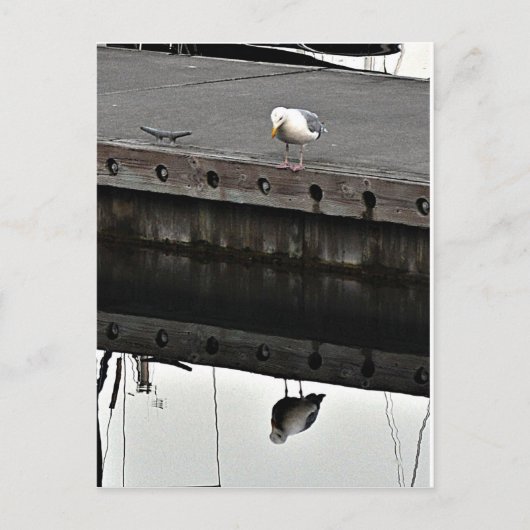 reflective Seagull Briefkaart (Voorkant)