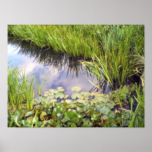 Reflexion des Himmels im See mit Lilien Poster (Voorkant)