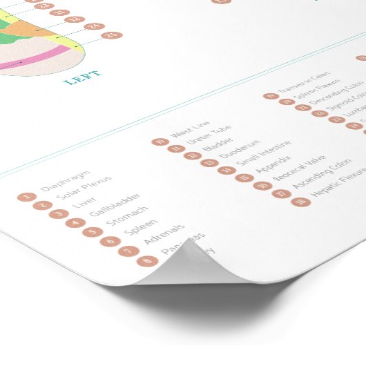 Reflexologie voetdiagram poster (Hoek)