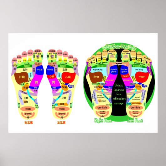 reflexologische voetkaart poster (Voorkant)