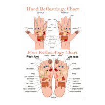 Reflexology Chart 20X30"