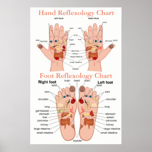Reflexology Chart 20X30" Poster