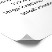 Reflexology Chart 24X36" Poster (Hoek)