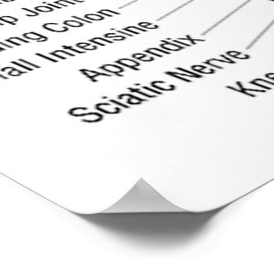 Reflexology Chart 30X40" Poster