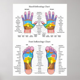 Reflexology Chart 30X40" Poster