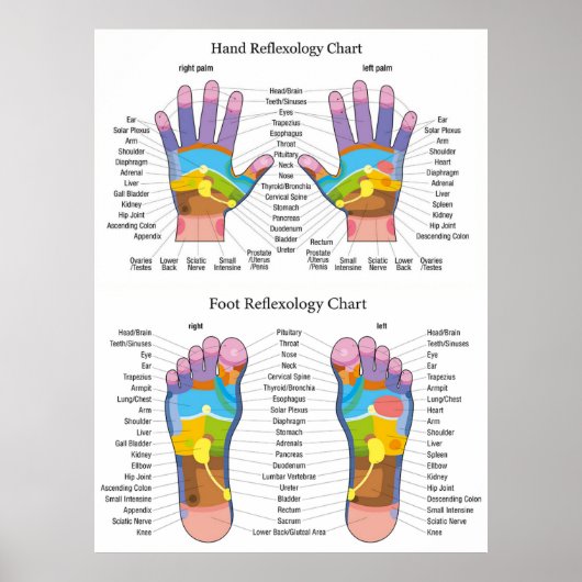 Reflexology Chart 30X40" Poster (Voorkant)