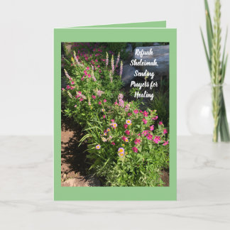 Refuah Sheleimah, Healing verzenden Kaart