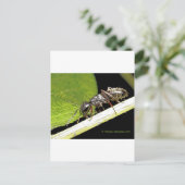 reg b briefkaart (Staand voorkant)