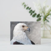 Regal American Bald Eagle Portret Briefkaart (Staand voorkant)