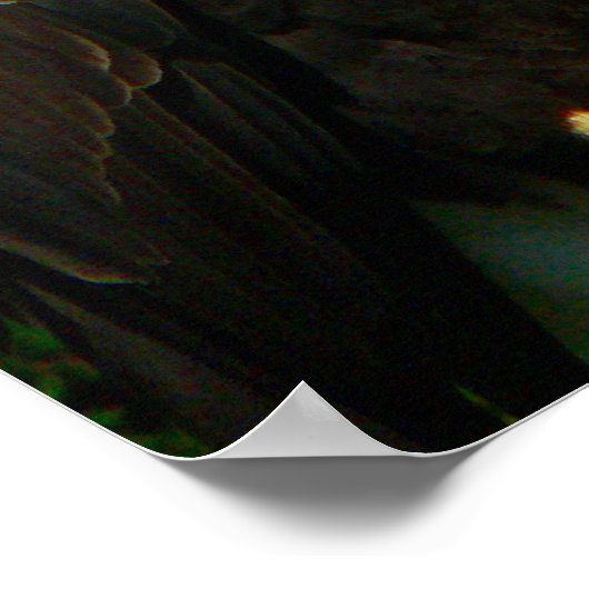 Regal American Bald Eagle Poster (Hoek)