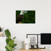 Regal American Bald Eagle Poster (Thuiskantoor)