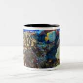 Regal Angelfish Pygoplites diacanthus), Tweekleurige Koffiemok (Center)