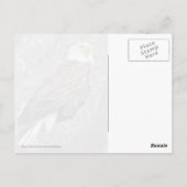 Regal Bald Eagle Briefkaart (Achterkant)