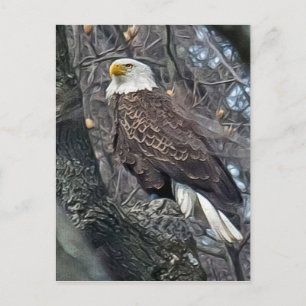 Regal Bald Eagle Briefkaart