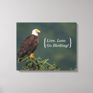 Regal Bald Eagle Canvas Afdruk