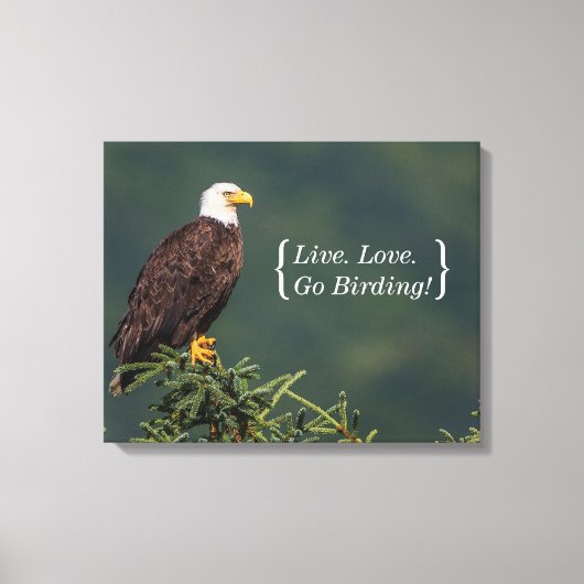 Regal Bald Eagle Canvas Afdruk (Voorkant)
