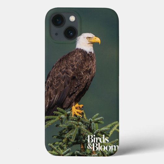 Regal Bald Eagle Case-Mate iPhone Case (Achterkant)