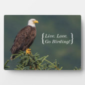 Regal Bald Eagle Fotoplaat (voorkant)