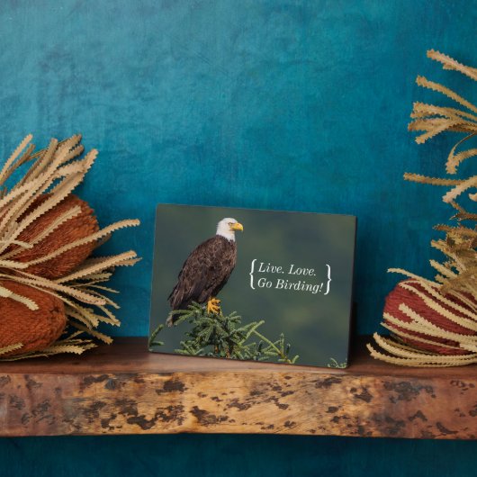 Regal Bald Eagle Fotoplaat (Zijkant)