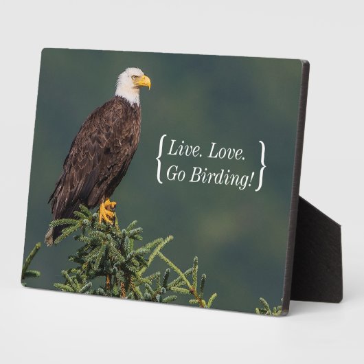 Regal Bald Eagle Fotoplaat (Zijkant)