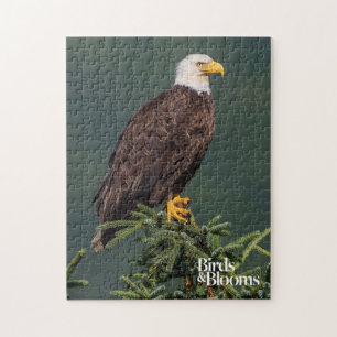 Regal Bald Eagle Legpuzzel