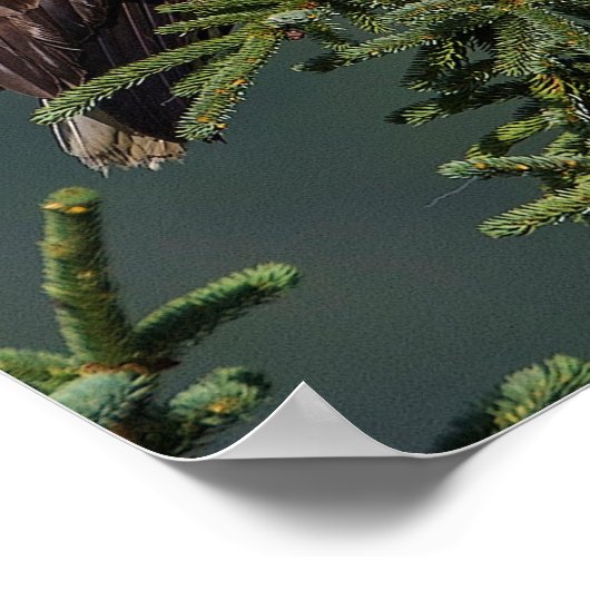 Regal Bald Eagle Poster (Hoek)