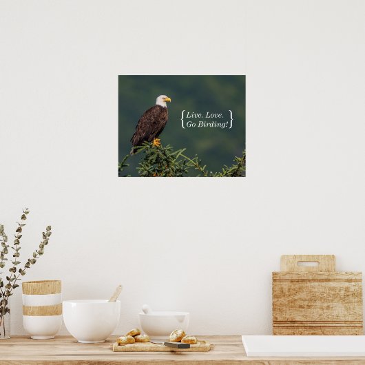 Regal Bald Eagle Poster (Keuken)