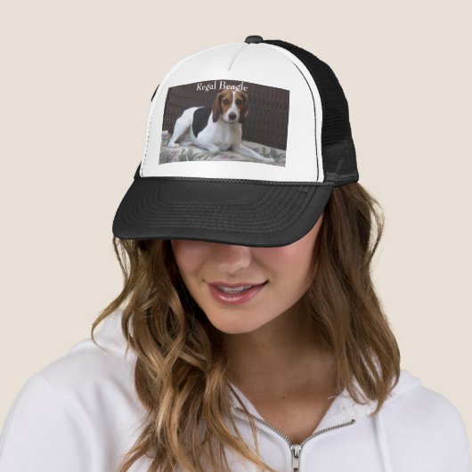 Regal Beagle Hound Dog Pet (In situ)