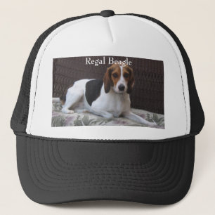 Regal Beagle Hound Dog Pet