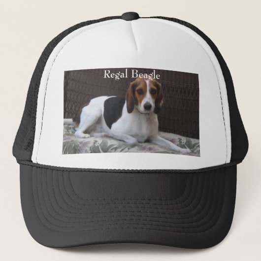 Regal Beagle Hound Dog Pet (Voorkant)