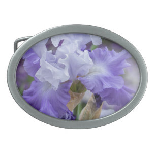 Regal Bearded Iris - Paars & wit Gesp