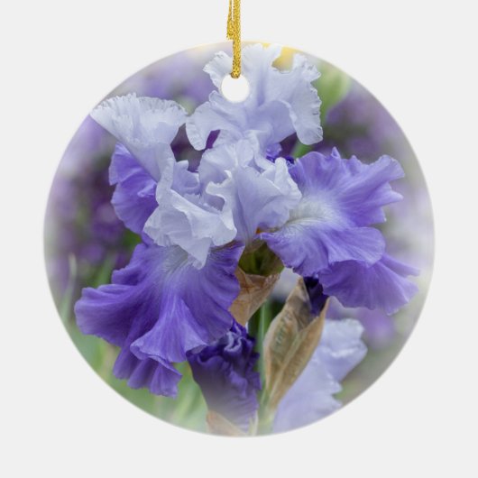 Regal Bearded Iris - Paars & wit Keramisch Ornament (Achterkant)