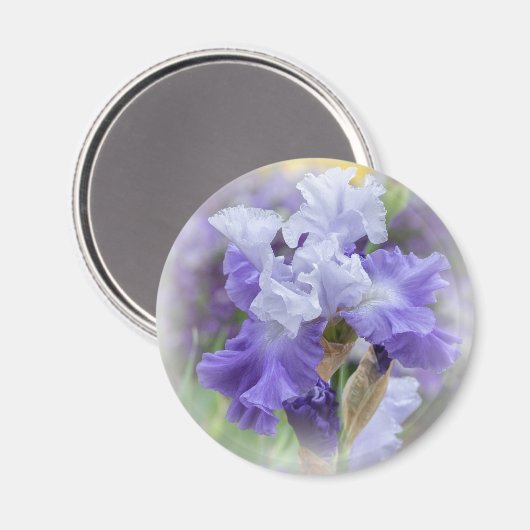 Regal Bearded Iris - Paars & wit Magneet (Voorkant / Achterkant)
