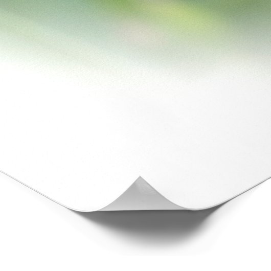 Regal Bearded Iris - Paars & wit Poster (Hoek)