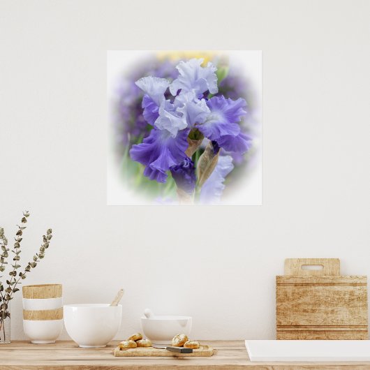 Regal Bearded Iris - Paars & wit Poster (Keuken)