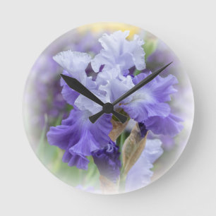 Regal Bearded Iris - Paars & wit Ronde Klok