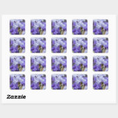 Regal Bearded Iris - Paars & wit Vierkante Sticker (Vel)