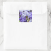 Regal Bearded Iris - Paars & wit Vierkante Sticker (Tas)