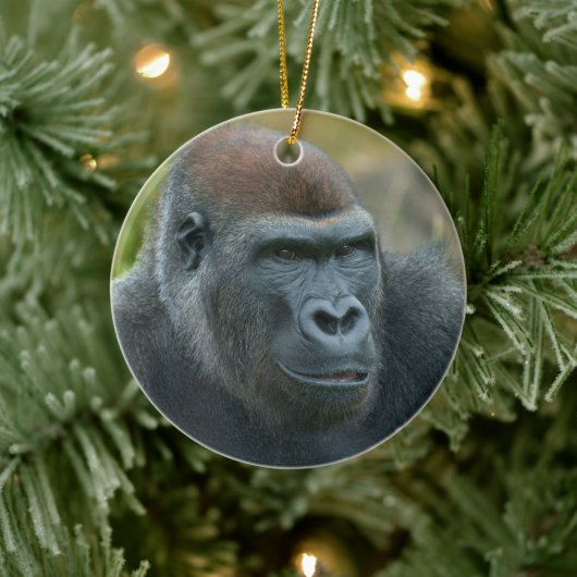 Regal Blackback Gorilla Keramisch Ornament (Boom)