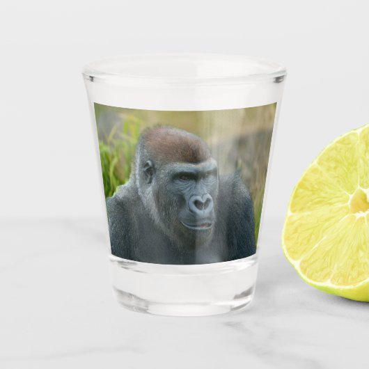 Regal Blackback Gorilla Shot Glas (Voorkant)