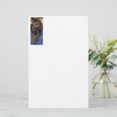 Regal Dave 5,5 x 8,5-inch Stationery Briefpapier (Staand voorkant)