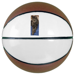 Regal Dave Basketball Basketbal