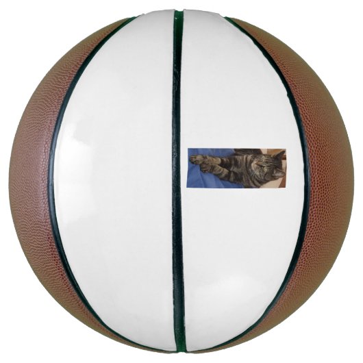 Regal Dave Basketball Basketbal (Verticaal)