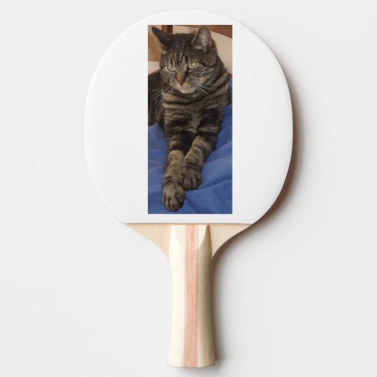 Regal Dave Black Backed Ping Pong Paddle Tafeltennisbatje (Voorkant)